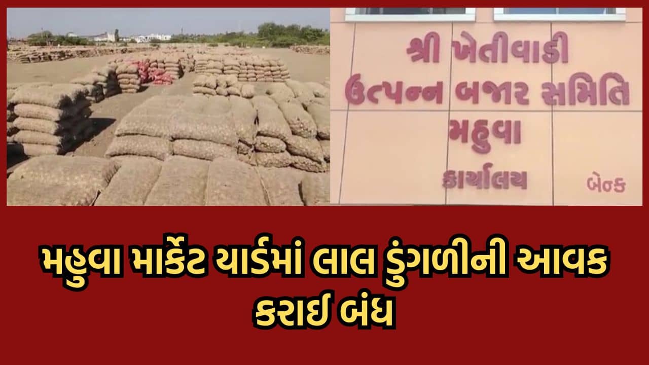 ભાવનગર: મહુવા માર્કેટિંગ યાર્ડમાં લાલ ડુંગળીની પુષ્કળ આવક, સાડા ત્રણલાખ ગુણી આવી જતા ખેડૂતોને ડુંગળી ન લાવવા કરાઈ અપીલ- વીડિયો