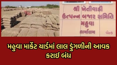 ભાવનગર: મહુવા માર્કેટિંગ યાર્ડમાં લાલ ડુંગળીની પુષ્કળ આવક, સાડા ત્રણલાખ ગુણી આવી જતા ખેડૂતોને ડુંગળી ન લાવવા કરાઈ અપીલ- વીડિયો