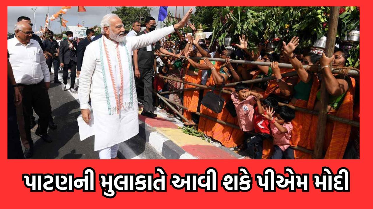 UAEના પ્રમુખ સાથે PM મોદી આવી શકે પાટણના પ્રવાસે, પીએમના પ્રવાસને લઈને શરૂ થઈ તડામાર તૈયારીઓ- જુઓ વીડિયો