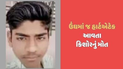 પાલનપુરમાં 12માં ધોરણનો વિદ્યાર્થી હાર્ટએટેકથી મોતને ભેટ્યો, સવારે શાળાએ જવા ઉઠ્યો જ નહીં પાલનપુરમાં 12માં ધોરણનો વિદ્યાર્થી હાર્ટએટેકથી મોતને ભેટ્યો, સવારે શાળાએ જવા ઉઠ્યો જ નહીં