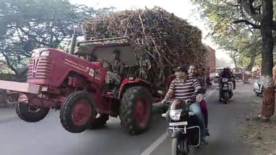 ભરૂચ : શેરડી ભરેલા ટ્રેકટર ચાલકોની લાલચ નિર્દોષ લોકો માટે જીવનું જોખમ ઉભું કરે છે! જુઓ વાયરલ વિડીયો ભરૂચ : શેરડી ભરેલા ટ્રેકટર ચાલકોની લાલચ નિર્દોષ લોકો માટે જીવનું જોખમ ઉભું કરે છે! જુઓ વાયરલ વિડીયો