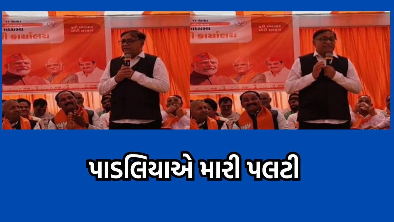 ધોરાજીના ધારાસભ્યે મારી પલટી, પહેલા કહ્યુ સાડા પાંચ લાખની લીડને લઈને બહુ ટેન્શન થાય છે હવે કહ્યુ લીડને લઈને નથી કોઈ ટેન્શન