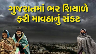 બ્રેકિંગ વીડિયો : રાજ્યમાં ભર શિયાળે ફરી માવઠાનું સંકટ ! સૌરાષ્ટ્ર, ઉત્તર અને દક્ષિણ ગુજરાતમાં હળવા વરસાદની આગાહી