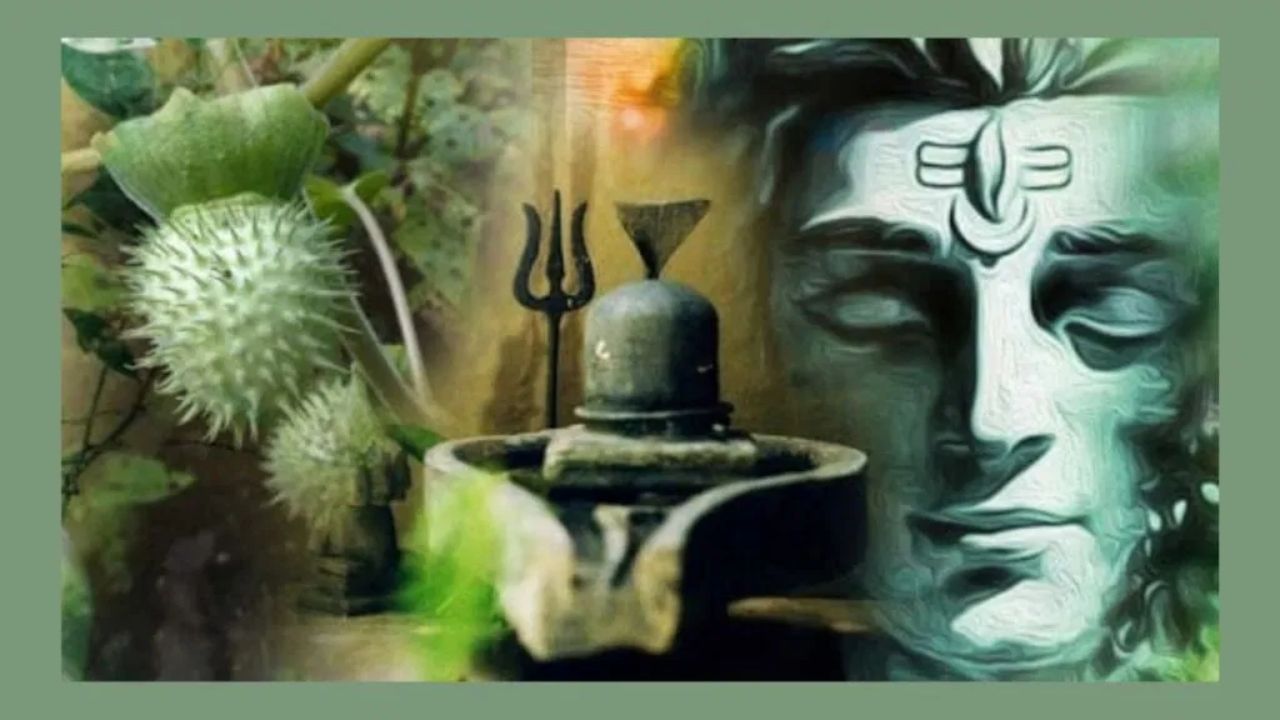 ભગવાન શિવના માથામાંથી નીકળતી ગંગા અને તેમના વાળમાં અર્ધ ચંદ્ર વગેરે જેવી બાબતો તેમને વધુ રહસ્યમય બનાવે છે.આ દરેક વસ્તુ અલગ-અલગ ઘટનાઓ સાથે તેમની સાથે સંકળાયેલી હતી? ચાલો જાણીએ ભગવાન શિવે ડમરુ, ત્રિશૂળ અને નાગ શા માટે ધારણ કર્યા.