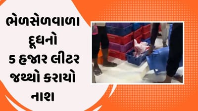 Gandhinagar :ગામડીવાલા મિલ્ક પ્રોસેસરમાંથી ભેળસેળવાળુ દૂધ પકડાયુ, 5 હજાર લીટરનો જથ્થો નાશ કરાયો, જુઓ Video