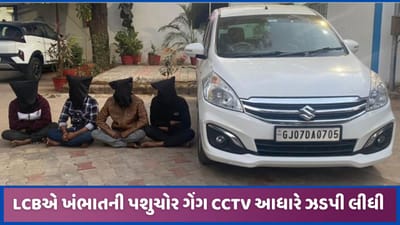 સાબરકાંઠાઃ પશુ ચોરી આચરતી ખંભાતની ગેંગ LCBએ ઝડપી, ત્રણ ગુનાઓના ભેદ ઉકેલાયા
