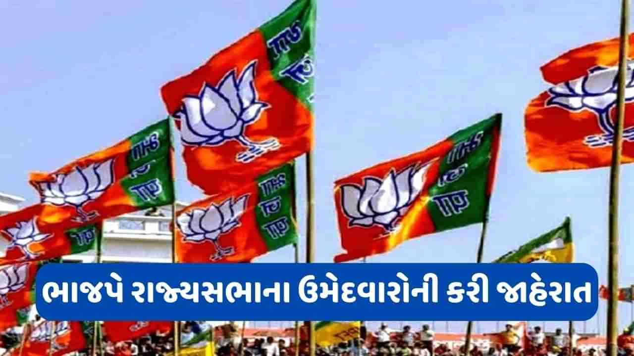 RPN સિંહ, સુધાંશુ ત્રિવેદી... ભાજપે રાજ્યસભા માટે 14 નામોની કરી જાહેરાત, જુઓ લિસ્ટ