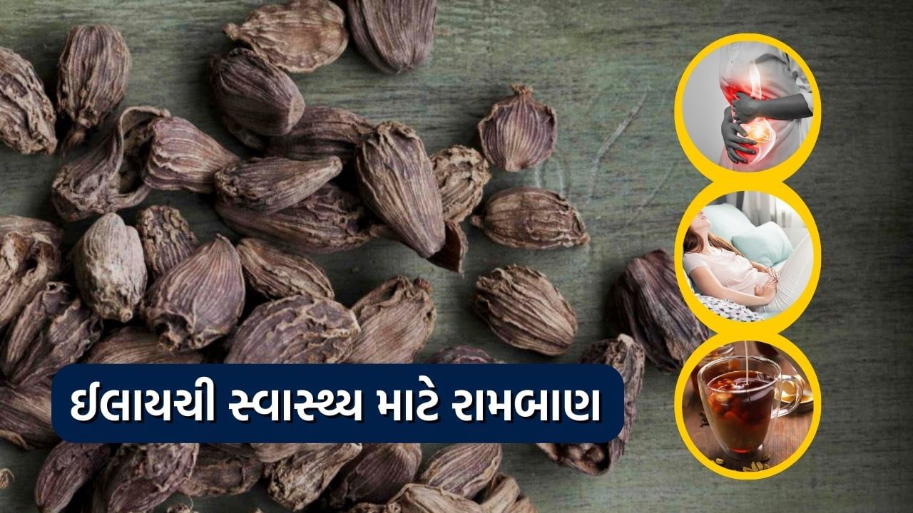 કાળી એલચીનો ઉપયોગ મોટાભાગે મસાલા તરીકે થાય છે. પરંતુ એક ચપટી કાળી ઈલાયચી ખાવાનો સ્વાદ અને સુગંધ જ બદલી શકતી નથી પરંતુ વાસ્તવમાં તેના સ્વાસ્થ્ય માટે પણ ફાયદાકારક છે. જો કાળી ઈલાયચીનો ઉપયોગ ચા તરીકે કરવામાં આવે તો તેનાથી ઘણી બીમારીઓથી રાહત મળે છે. કાળી ઈલાયચીને મોટી ઈલાયચી તરીકે પણ ઓળખવામાં આવે છે અને તેને દિવસભર કોઈપણ સ્વરૂપમાં ખાવાથી આ સ્વાસ્થ્ય લાભ થાય છે.