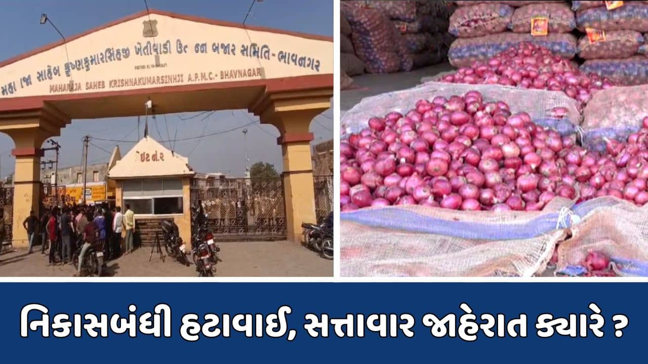 ભાવનગર માર્કેટ યાર્ડમાં ડુંગળીની હરાજી સંપૂર્ણ બંધ, નિકાસબંધી અંગે નોટિફિકેશન ન આવવાથી અસમંજસ