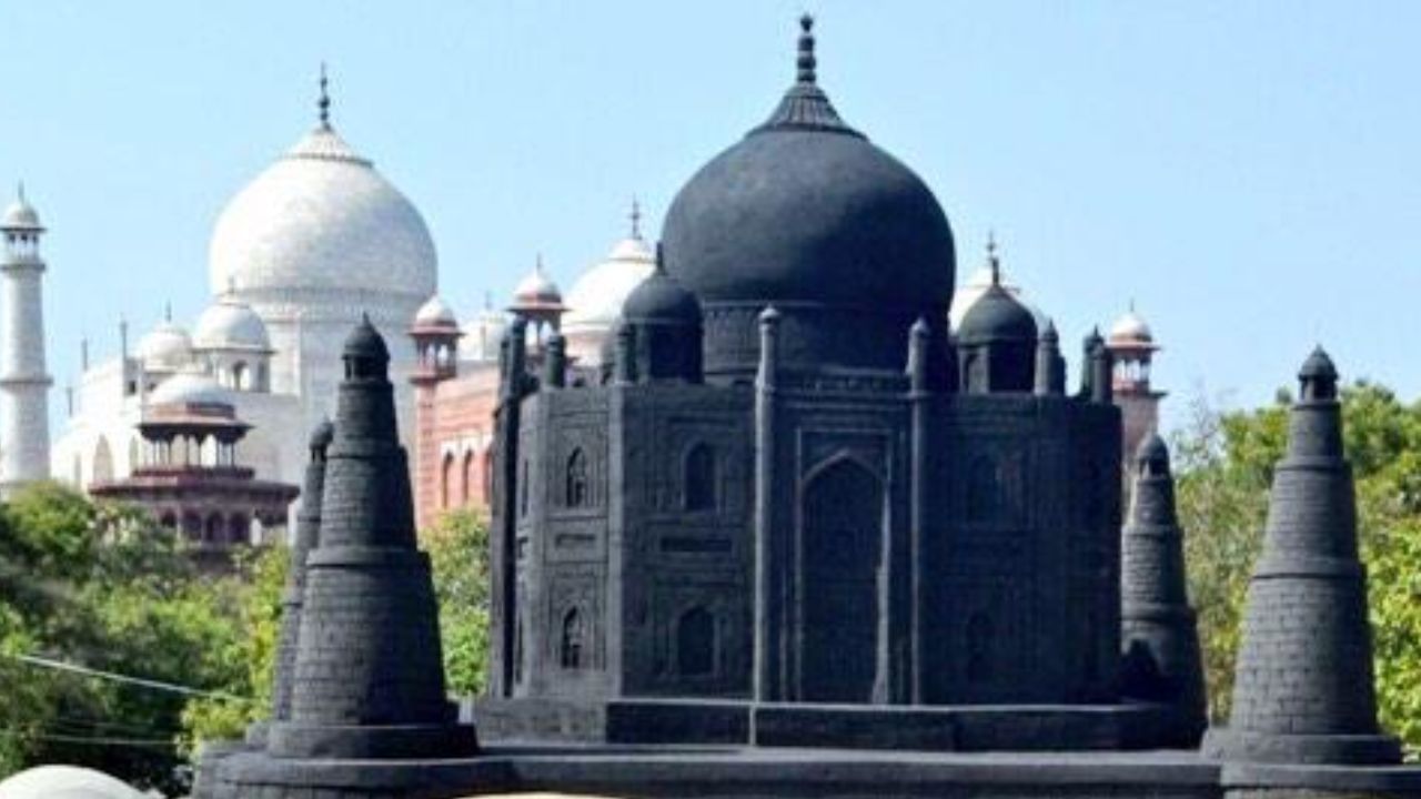 તે શાહનવાઝ ખાને તેની પત્ની માટે બનાવ્યો હતો, જેની કબર પણ ભોંયરામાં આવેલી છે. જેમ મુમતાઝની કબર આગ્રા તાજમહેલના ભોંયરામાં છે, શાહનવાઝની પત્નીની કબર પણ આ રીતે રાખવામાં આવી છે. આગ્રાનો તાજમહેલ પણ બ્લેક તાજમહેલ જેવો દેખાય છે.