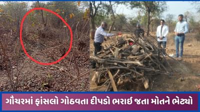 સાબરકાંઠાઃ ગૌચરમાં કોઇએ ફાંસલો ગોઠવતા દીપડાનું મોત, વન વિભાગે તપાસ હાથ ધરી સાબરકાંઠાઃ ગૌચરમાં કોઇએ ફાંસલો ગોઠવતા દીપડાનું મોત, વન વિભાગે તપાસ હાથ ધરી
