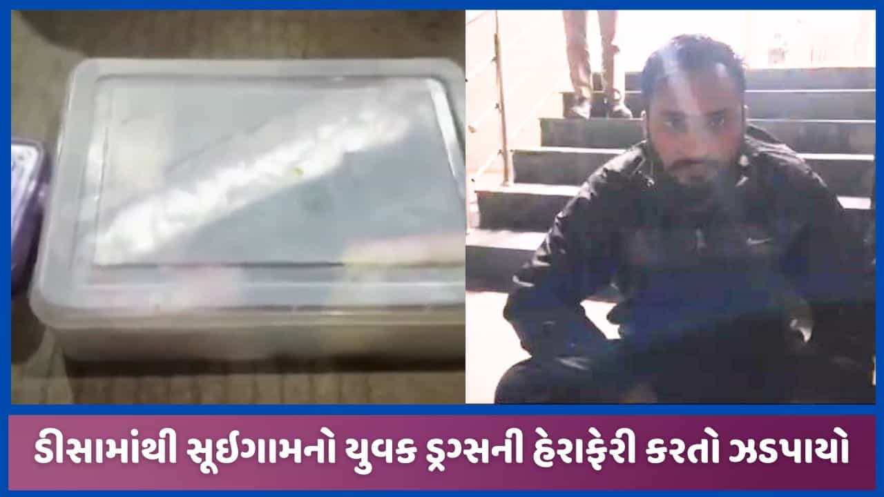 બનાસકાંઠાઃ ડીસામાંથી ડ્રગ પેડલર ઝડપાયો, ભાડાનું મકાન રાખી કરતો હેરાફેરી, જુઓ