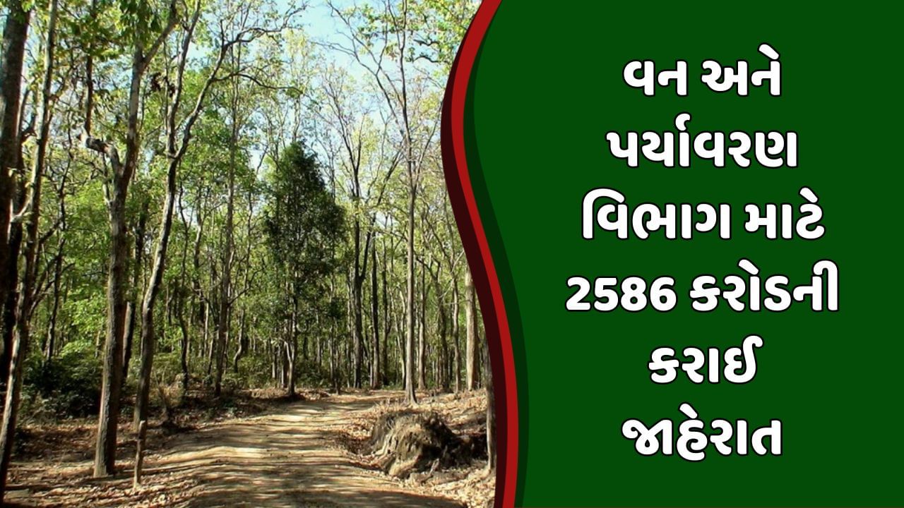 Gujarat Budget 2024 : બજેટમાં વન અને પર્યાવરણ વિભાગ માટે કુલ 2586 કરોડની કરાઈ જાહેરાત