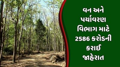 Gujarat Budget 2024 : બજેટમાં વન અને પર્યાવરણ વિભાગ માટે કુલ 2586 કરોડની કરાઈ જાહેરાત