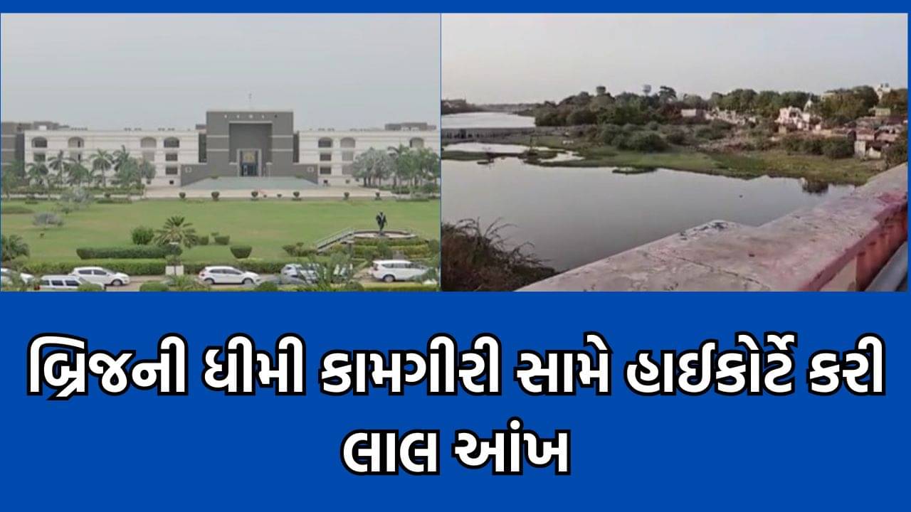 ગોંડલના રાજાશાહી સમયના 125 વર્ષ જૂના બ્રિજની ધીમી કામગીરી મુદ્દે હાઈકોર્ટે વ્યક્ત કરી સખ્ત નારાજગી- વીડિયો