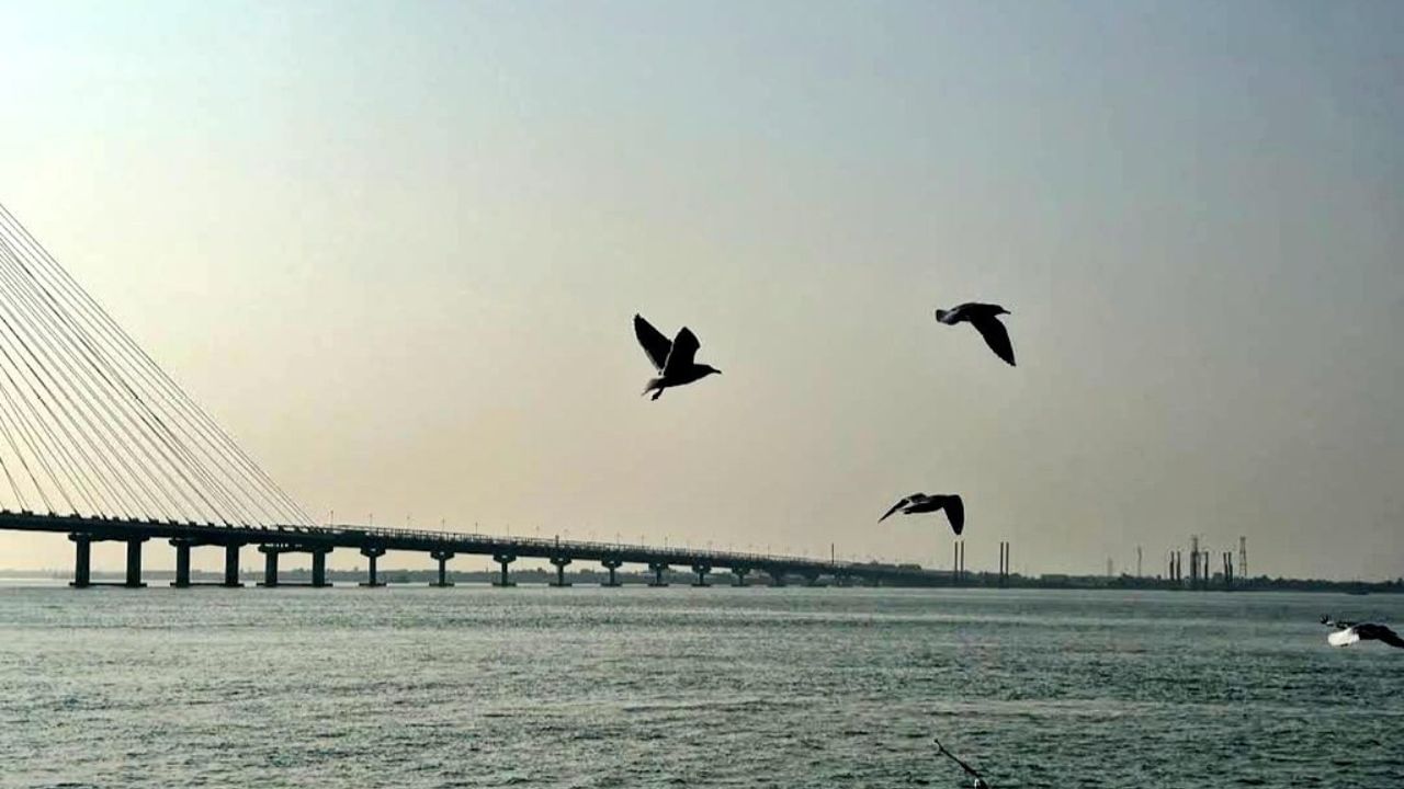 Indias longest cable stayed Bate-Dwarka signature bridge (4)