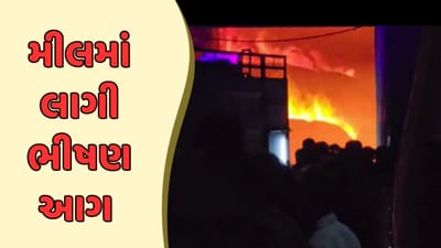 Jamnagar Video : કાલાવડ-રણુજા હાઈવે પર આવેલી સ્પિનિંગ મીલમાં લાગી વિકરાળ આગ