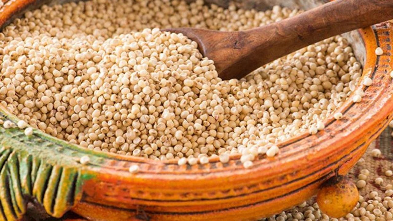 જુવાર ડાયાબિટીસ, હાર્ટ અને કેન્સર જેવી બીમારીઓમાં પણ રાહત આપે છે. જુવારમાં મેગ્નેશિયમ અને કેલ્શિયમ ભરપૂર માત્રામાં હોય છે, તે તમારા હાડકાંને મજબૂત બનાવે છે.
