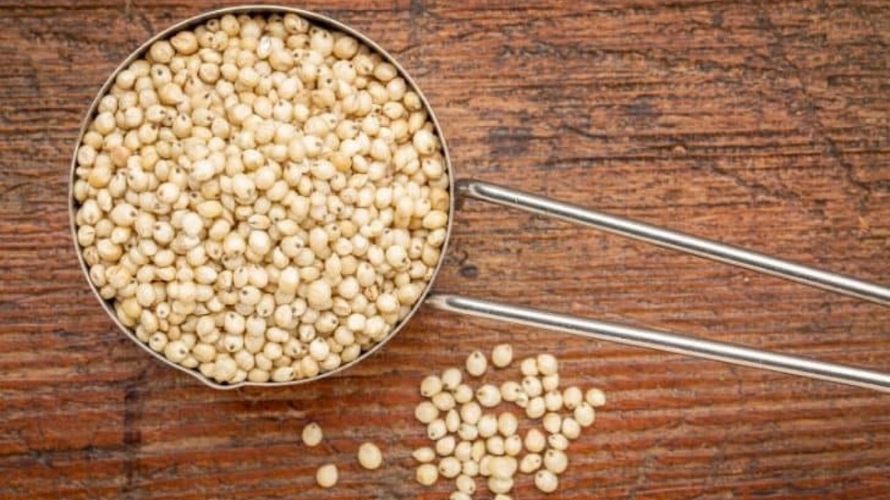 મહારાષ્ટ્રમાં લોકો જુવારની રોટલી ખૂબ ખાય છે. તેને મરાઠીમાં 'ભાકર' કહે છે. જુવારની રોટલી ખાવાથી શરીરને હેલ્ધી કાર્બોહાઇડ્રેટ્સ મળે છે, જે તમારું પેટ ભરે છે અને વજન ઘટાડવામાં પણ મદદ કરે છે.  
