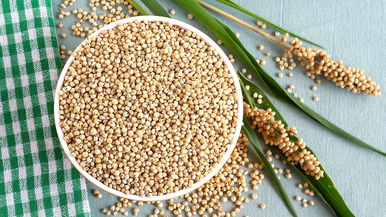 આજકાલ વજન ઘટાડવા માટે  લોકો ડાયટિંગનો સહારો લે છે. ડાયેટિશિયને સૂચવેલા ડાયટ પ્લાનને લોકો ફોલો કરે છે.કલાકોના કલાકો જીમમાં વિતાવે છે, ભુખ્યા પણ રહે છે. જે પછી વજનમાં માંડ થોડોક  ઘટાડો થાય છે. આ બધી કામગીરી છોડતા ફરી વજન વધવા લાગે છે.જો કે તમે ભરપેટ જમીને પણ વજન ઘટાડી શકો છો.
