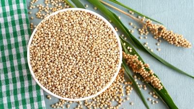 આજકાલ વજન ઘટાડવા માટે  લોકો ડાયટિંગનો સહારો લે છે. ડાયેટિશિયને સૂચવેલા ડાયટ પ્લાનને લોકો ફોલો કરે છે.કલાકોના કલાકો જીમમાં વિતાવે છે, ભુખ્યા પણ રહે છે. જે પછી વજનમાં માંડ થોડોક  ઘટાડો થાય છે. આ બધી કામગીરી છોડતા ફરી વજન વધવા લાગે છે.જો કે તમે ભરપેટ જમીને પણ વજન ઘટાડી શકો છો.
