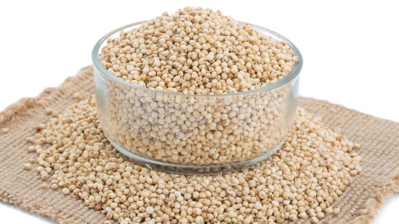 Simple wheat carbohydrates raise blood sugar levels, but complex carbohydrates do not immediately raise blood sugar levels if you eat sorghum flour.  A diabetic patient should include this grain in his diet.