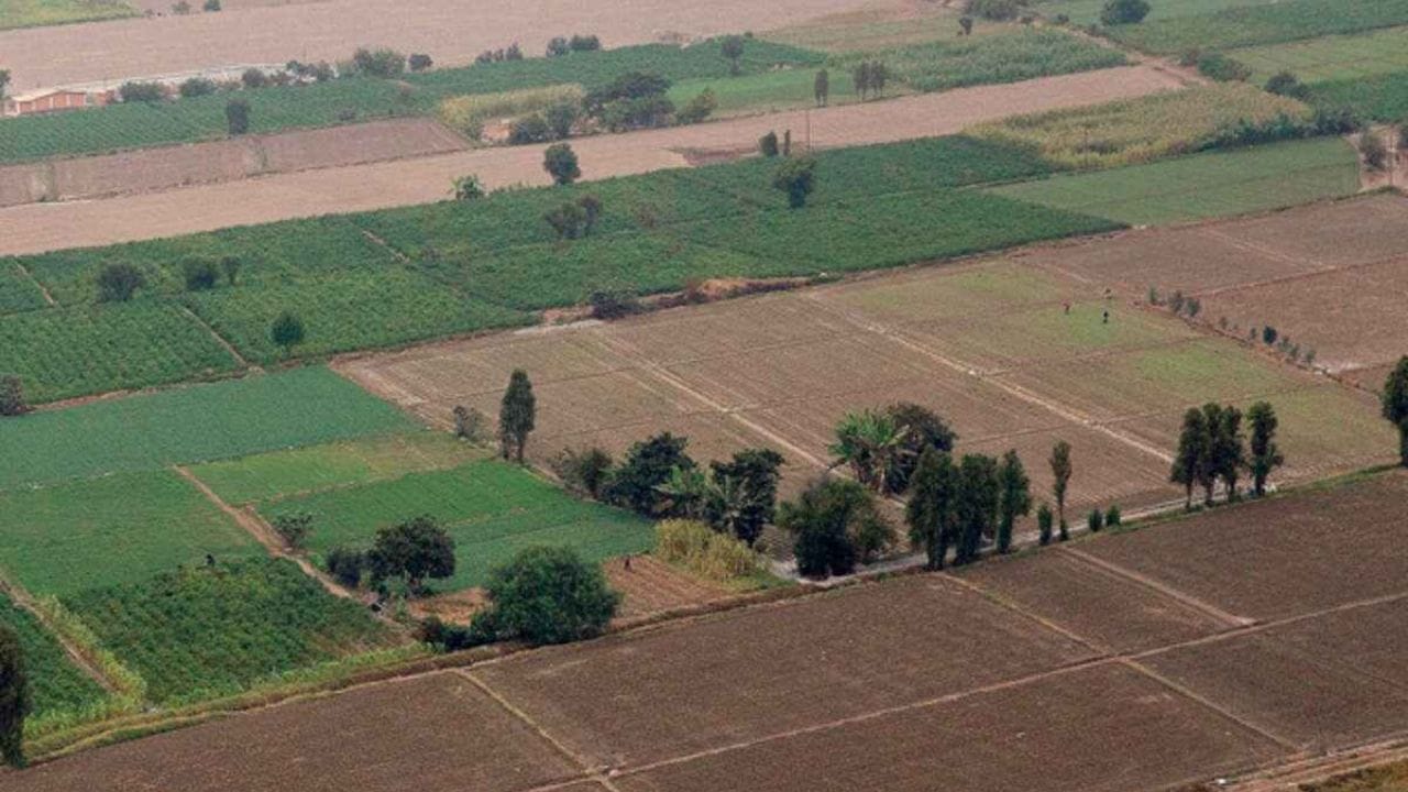 એક વ્યક્તિ કેટલી જમીન ખરીદી શકે? જાણો સરકારનો આ નિયમ નહીં તો થઈ શકે છે જેલ