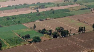 એક વ્યક્તિ કેટલી જમીન ખરીદી શકે? જાણો સરકારનો આ નિયમ નહીં તો થઈ શકે છે જેલ