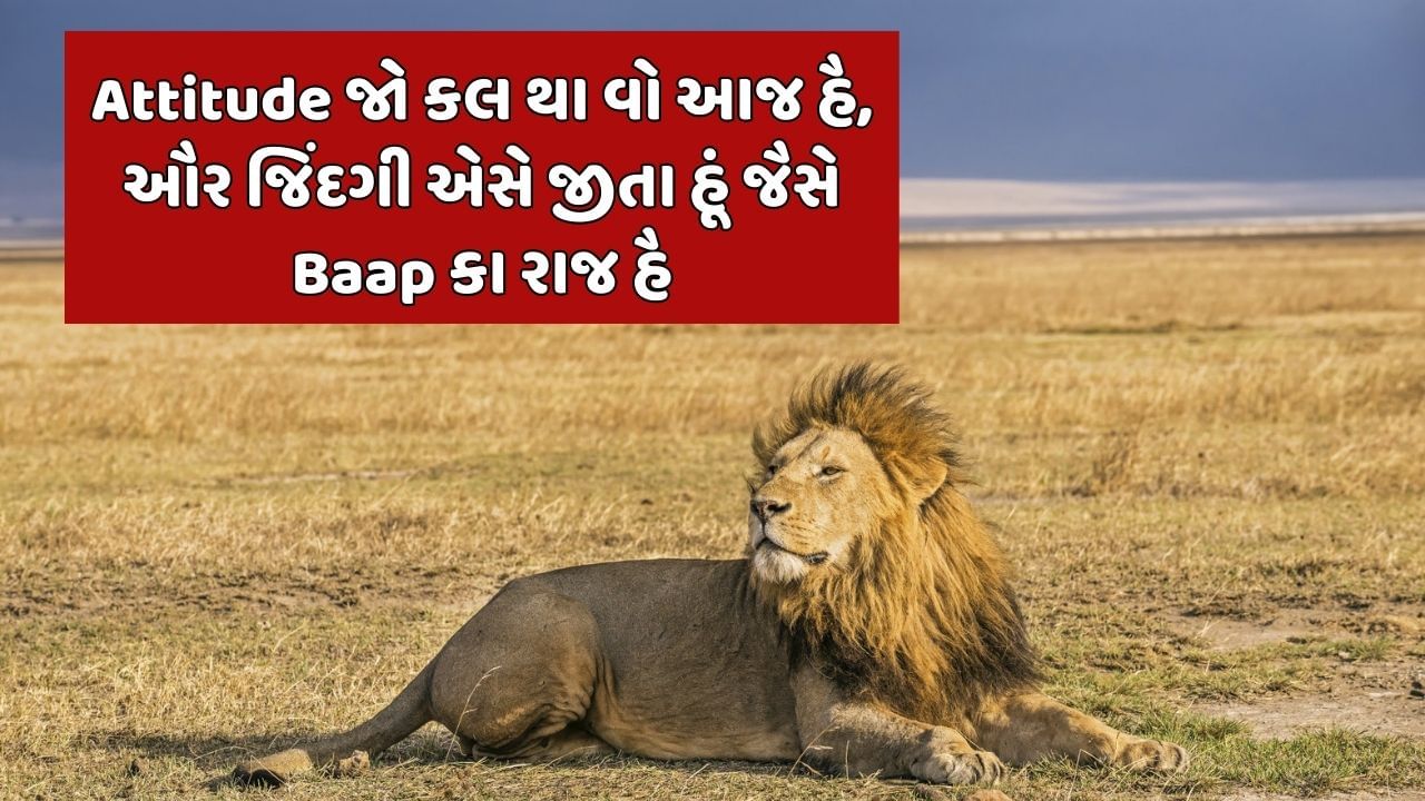 Attitude જો કલ થા વો આજ હૈ, ઔર જિંદગી એસે જીતા હૂં જૈસે Baap કા રાજ હૈ 