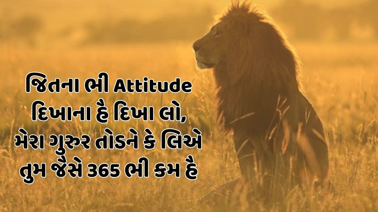 જિતના ભી Attitude દિખાના હૈ દિખા લો, મેરા ગુરુર તોડને કે લિએ તુમ જૈસે 365 ભી કમ હૈ 