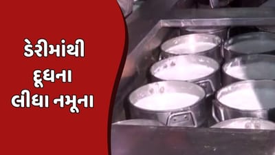 Rajkot Video : દૂધમાં ભેળસેળ થતી રોકવા આરોગ્ય તંત્ર એક્શનમાં ! 2 દિવસમાં 30 ડેરીમાંથી લીધા નમૂના Rajkot Video : દૂધમાં ભેળસેળ થતી રોકવા આરોગ્ય તંત્ર એક્શનમાં ! 2 દિવસમાં 30 ડેરીમાંથી લીધા નમૂના