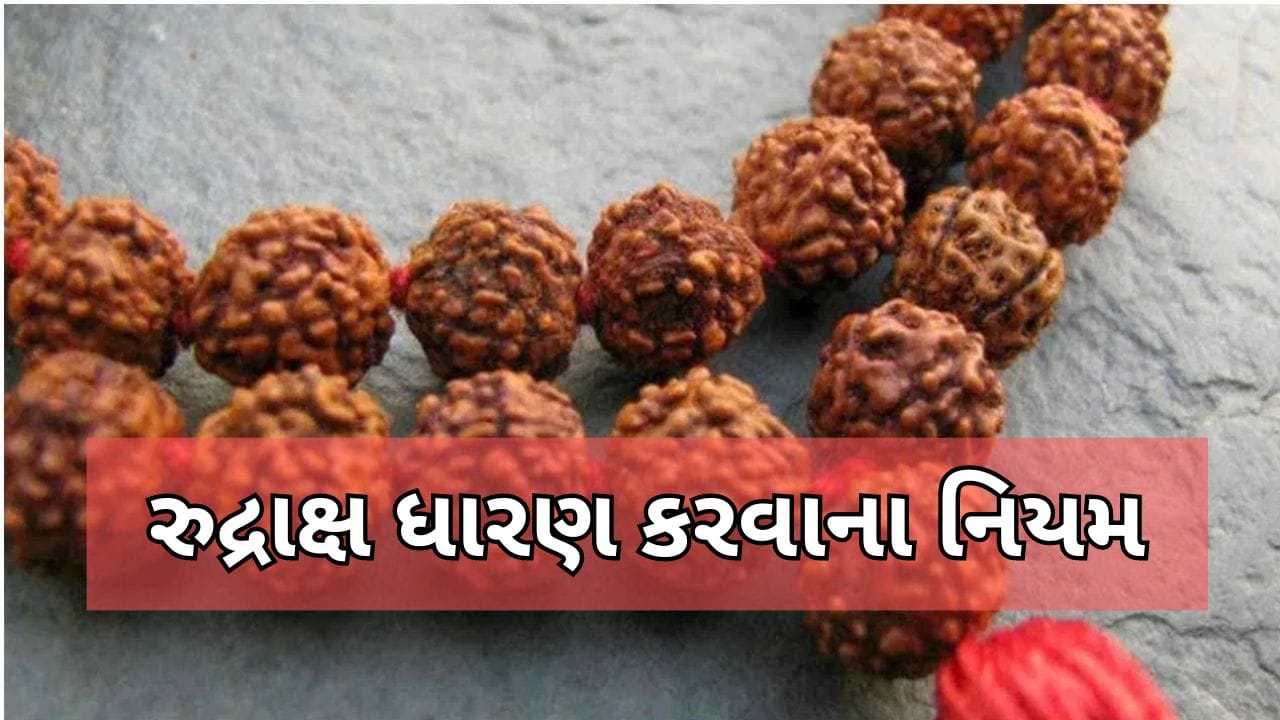 રુદ્રાક્ષ ધારણ કરતા પહેલા જાણી લો આ મહત્વની વાતો, જીવનમાં નહીં આવે સંકટ ...