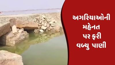 સુરેન્દ્રનગર વીડિયો: કચ્છના નાના રણ તરીકે ઓળખાતા વિસ્તારમાં મીઠાના પાટા પર ફરી વળ્યુ કેનાલનું પાણી