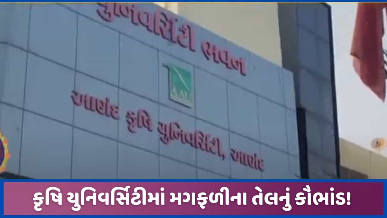 આણંદ: સિંગતેલમાં કોની ઘાલમેલ, કોણે પાડ્યો ખેલ ? TV9 પર તેલ કૌભાંડનો પર્દાફાશ, જુઓ