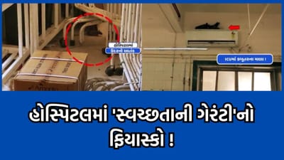 આણંદની જનરલ હોસ્પિટલમાં સ્વચ્છતાના લીરે લીરા ઉડાડતા દૃશ્યો, ICUમાં કબૂતરોના માળા અને ઉંદરોના આંટાફેરા આવ્યા સામે