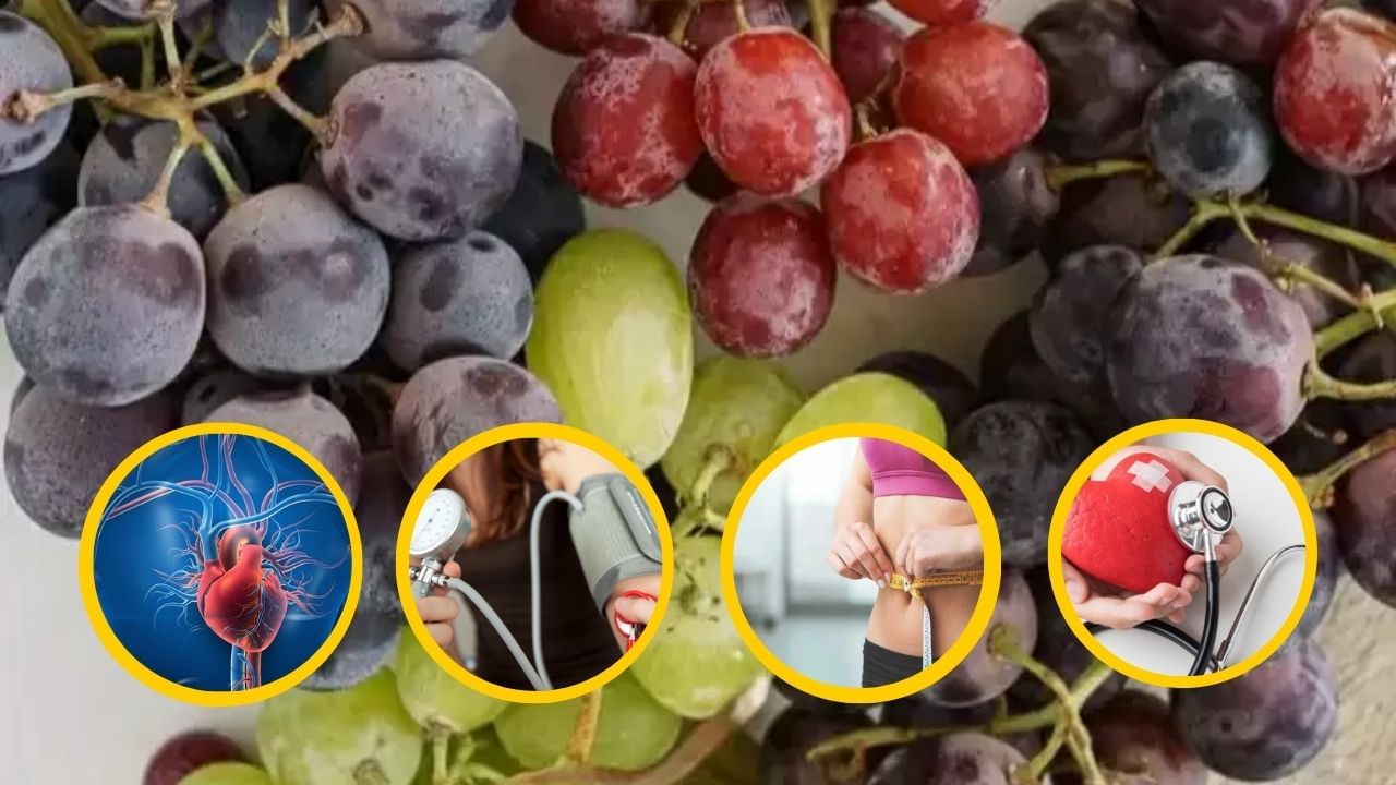 ડૉક્ટરો ઘાટા રંગના ફળો અને શાકભાજી ખાવાની ભલામણ કરે છે. શું તમે જાણો છો કે કઈ દ્રાક્ષ કેટલી ફાયદાકારક છે?