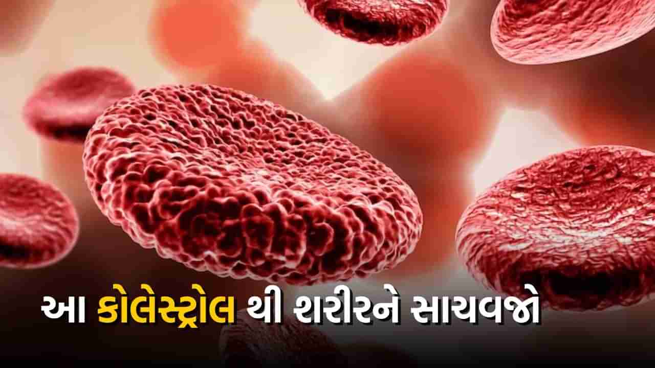 શરીરમાં માત્ર સારું અને ખરાબ જ નહીં, આ ચાર પ્રકારના હોય છે કોલેસ્ટ્રોલ, આ છે તફાવત