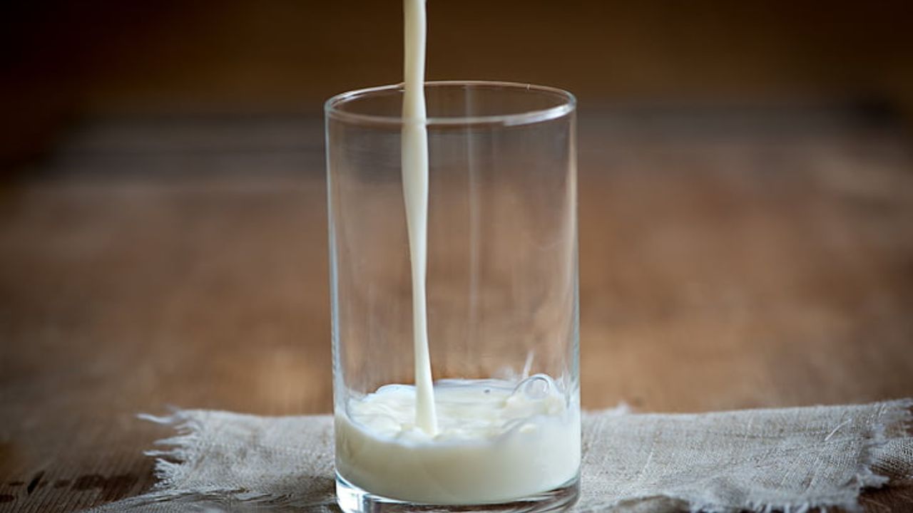 A cup of goat's milk contains enough calcium.  It also contains significant amounts of vitamin B and phosphorus and potassium.  So it can help improve the metabolic rate in the body.