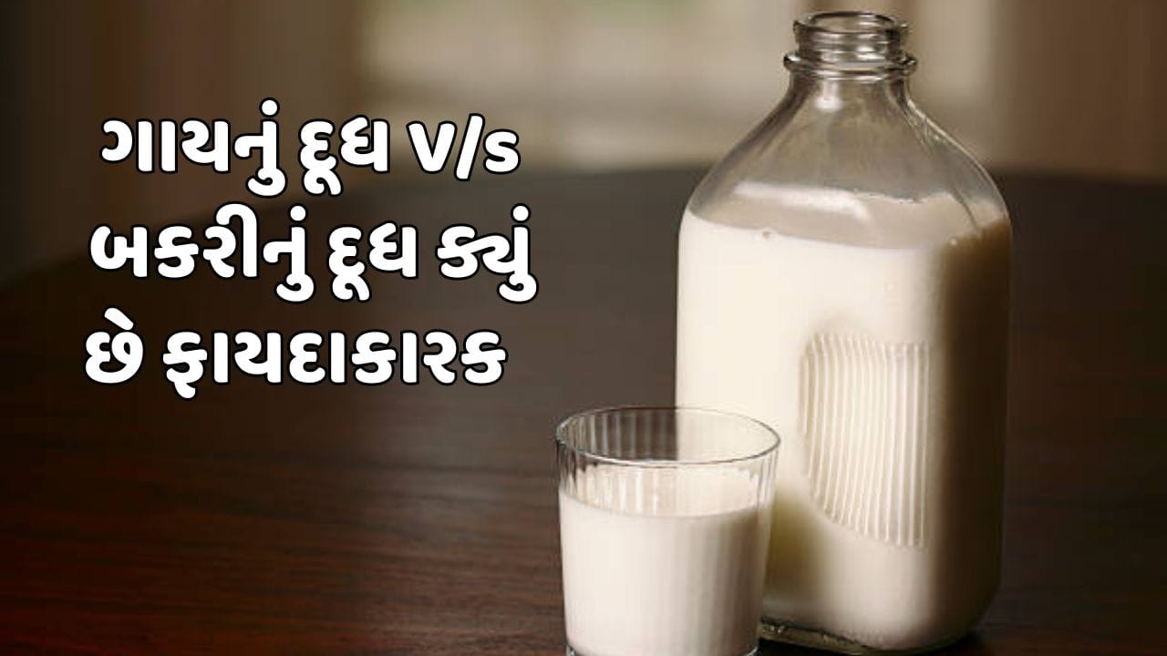 શું ગાયના દૂધ કરતા બકરીનું દૂધ વધુ ફાયદાકારક છે ? જાણો ક્યા દૂધમાં છે