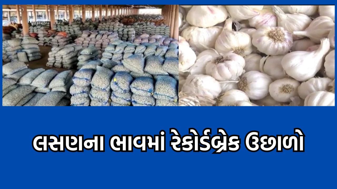 પહેલા ટામેટા પછી ડુંગળી અને હવે લસણના ભાવ ઉંચકાતા ગૃહિણીઓનું ખોરવાયુ બજેટ, સામાન્ય લોકોની પહોંચથી થયુ દૂર પહેલા ટામેટા પછી ડુંગળી અને હવે લસણના ભાવ ઉંચકાતા ગૃહિણીઓનું ખોરવાયુ બજેટ, સામાન્ય લોકોની પહોંચથી થયુ દૂર