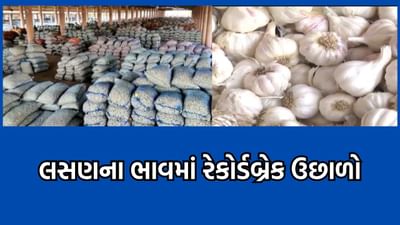 પહેલા ટામેટા પછી ડુંગળી અને હવે લસણના ભાવ ઉંચકાતા ગૃહિણીઓનું ખોરવાયુ બજેટ, સામાન્ય લોકોની પહોંચથી થયુ દૂર