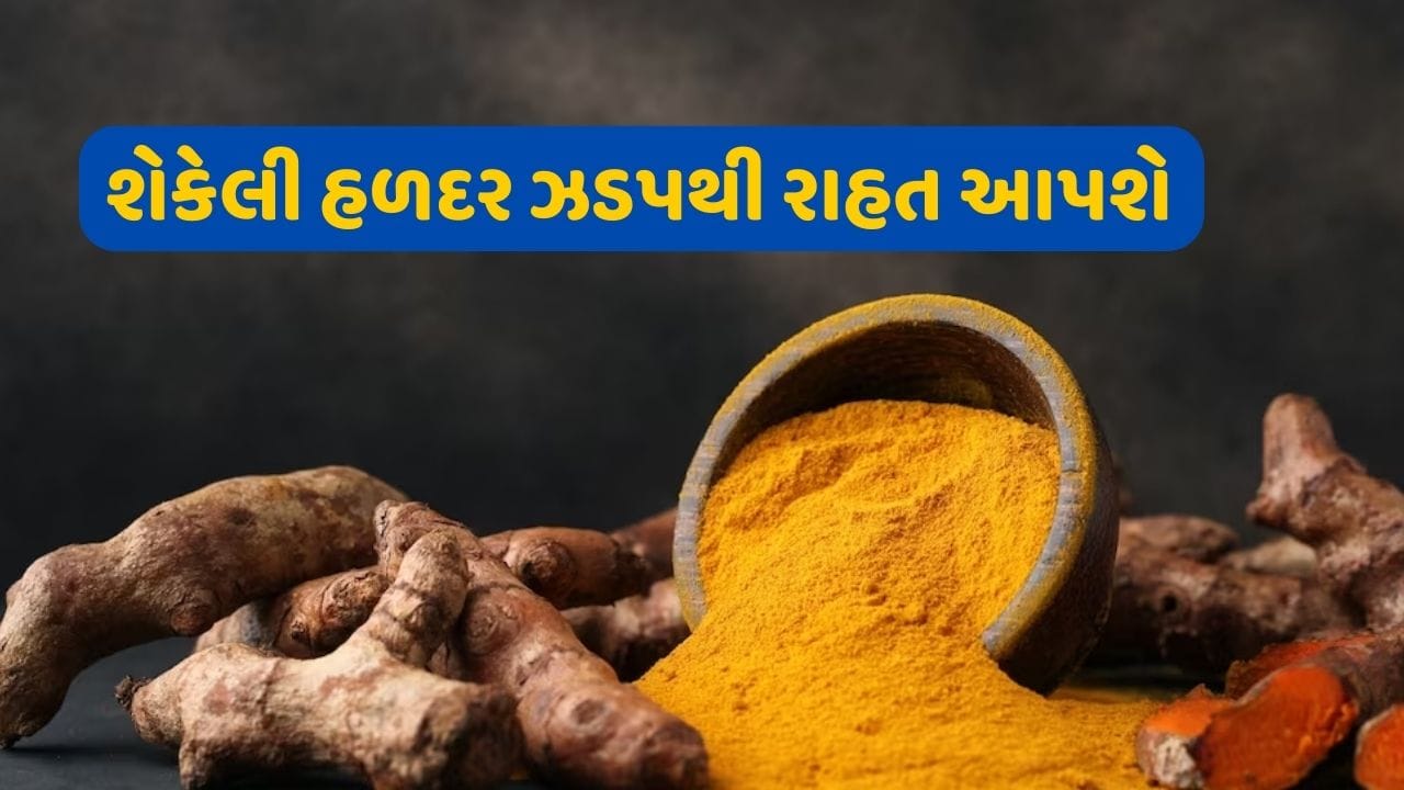 જો તમે ઉધરસ અને ગળાના દુખાવાથી પરેશાન છો તો થોડી હળદરને ધીમી આંચ પર શેકીને હૂંફાળા પાણી સાથે લો. આનાથી ખૂબ જ ઝડપથી રાહત મળે છે. હળદરમાં જોવા મળતા ગુણો શ્વસન સંબંધી ચેપને ઘટાડવામાં અસરકારક છે. જો તમને વારંવાર ઉધરસ રહેતી હોય તો બે લવિંગને થોડીવાર દાંત નીચે દબાવી રાખવાથી આરામ મળે છે. (નોંધ: આ માહિતી આપની જાણકારી માટે છે. કોઈ પણ વસ્તુનો પ્રયોગ કરવા પહેલા ડૉક્ટરની સલાહ લેવી ખૂબ જરૂરી છે.Tv9 ગુજરતી કોઈ પણ આરોગ્ય લક્ષી પ્રયોગ કરવા માટે પ્રેરણા આપતું નથી.)