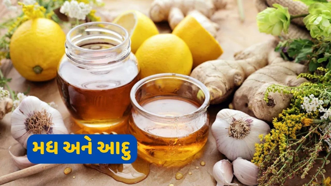 ગળામાં ખરાશ, ઉધરસ, છાતીમાં જકડાઈ જવા જેવી સમસ્યાઓમાં આદુ અને મધ ખૂબ જ ફાયદાકારક છે, કારણ કે આ બંને વસ્તુઓમાં એન્ટી-બેક્ટેરિયલ ગુણ હોય છે, જે બેક્ટેરિયલ ઈન્ફેક્શનથી બચાવે છે અને ગળાના દુખાવા અને સોજાથી પણ રાહત આપે છે. આ માટે તમે સૂતા પહેલા આદુના રસમાં એક નાની ચમચી થોડું મધ મિક્સ કરીને પી શકો છો, તેનાથી ઘણી રાહત મળે છે. આ રેસીપી શુષ્ક ઉધરસમાં ઘણી રાહત આપે છે.