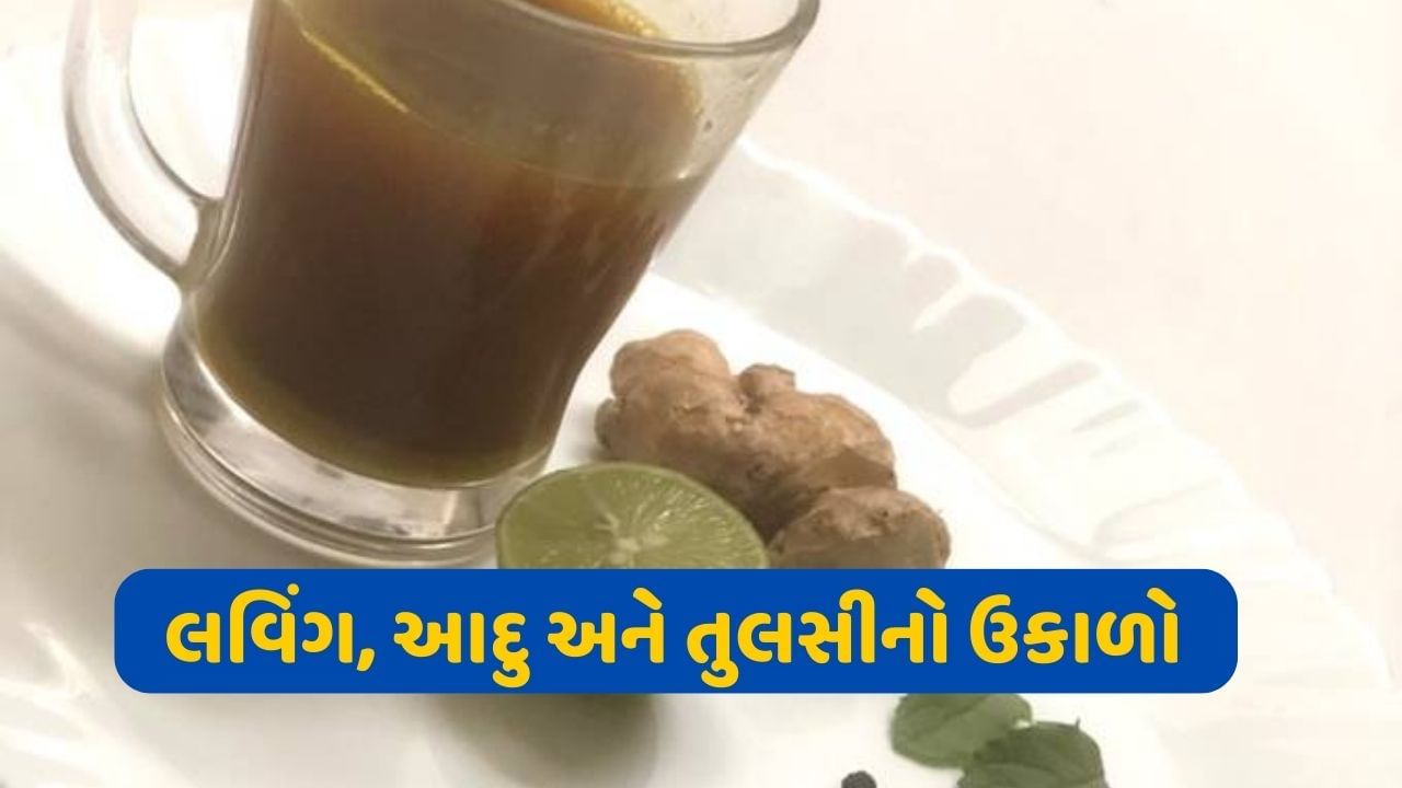 પ્રાચીન કાળથી જ લવિંગ, આદુ અને તુલસીનો ઉકાળો ગળામાં ખરાશ, ઉધરસ અને શરદી જેવી સમસ્યાઓ માટે ખૂબ જ ફાયદાકારક માનવામાં આવે છે. આ ત્રણેય વસ્તુઓમાં ઔષધીય ગુણો જોવા મળે છે. તમે સ્વાદ અનુસાર થોડું મીઠું ઉમેરી શકો છો, જે કફને દૂર કરવામાં પણ મદદ કરશે.