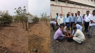 જામનગર: દરેડના ઉદ્યોગપતિઓની ઉમદા પહેલ, પાંચ વર્ષમાં 12 હજાર વૃક્ષોનો કર્યો ઉછેર- જુઓ તસ્વીરો