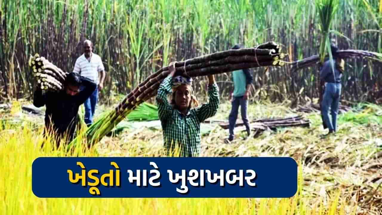 ખેડૂતોને મોદી સરકારે આપ્યા ગુડ ન્યૂઝ, પ્રતિ ક્વિન્ટલ શેરડીના ભાવમાં કર્યો 8 ટકાનો વધારો