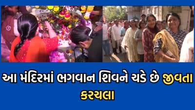 સુરતના આ મંદિરે ભગવાન શિવને કેમ ચડાવવામાં આવે છે જીવતા કરચલા- જુઓ વીડિયો