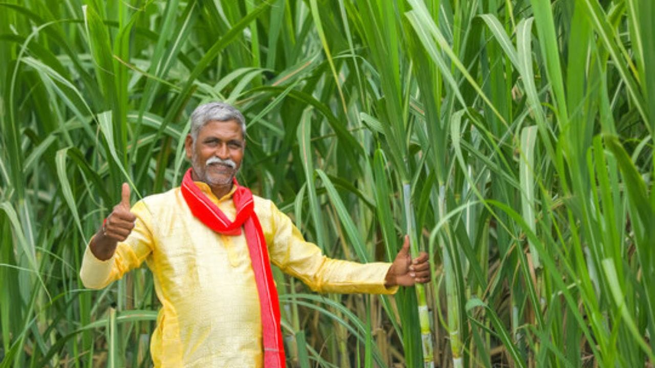 કેન્દ્ર સરકારના આ નિર્ણયથી દેશમાં શેરડી પકવતા કરોડો ખેડૂતોને લાભ થશે. તો સાથો સાથ ગુજરાતમાં શેરડી પકવતા 5 લાખથી વધુ ખેડૂતોને પણ આનો લાભ મળશે.