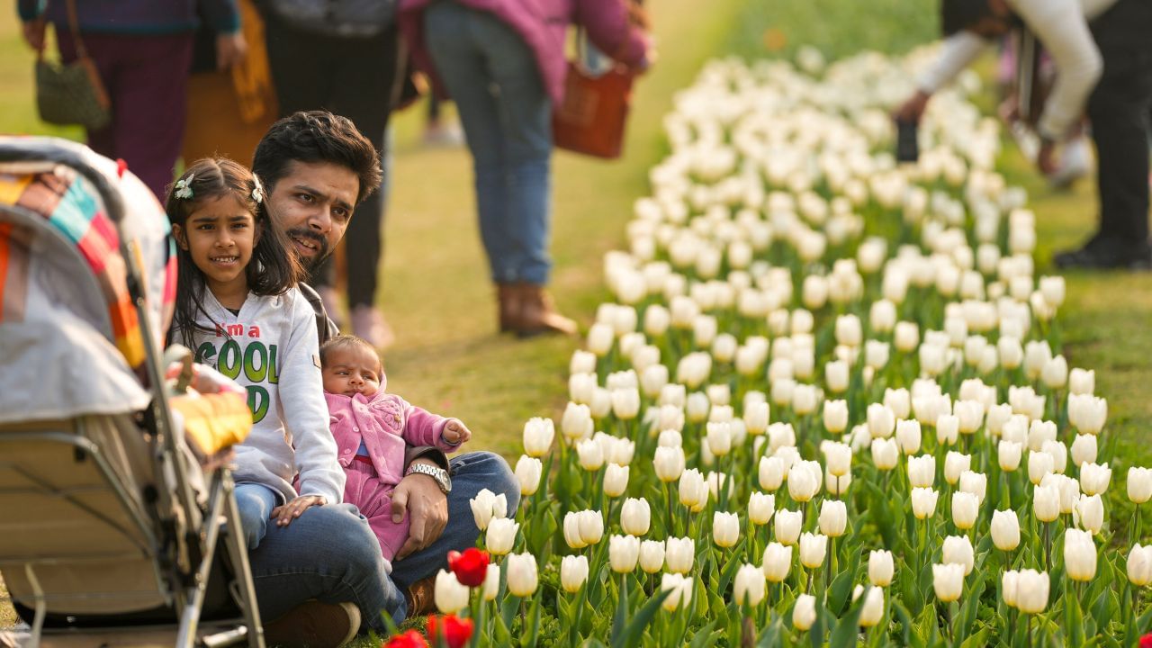 If you are planning to go to see the Tulip Festival then to reach here you have to get down at Lok Kalyan Marg Metro Station of Violet Line.  From this station you can easily get an auto or rickshaw to your destination.