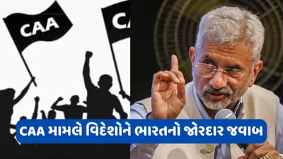 CAA મામલે વચ્ચે ન પડે અમેરિકા, આ ભારતનો આંતરિક મામલો: વિદેશ મંત્રાલય